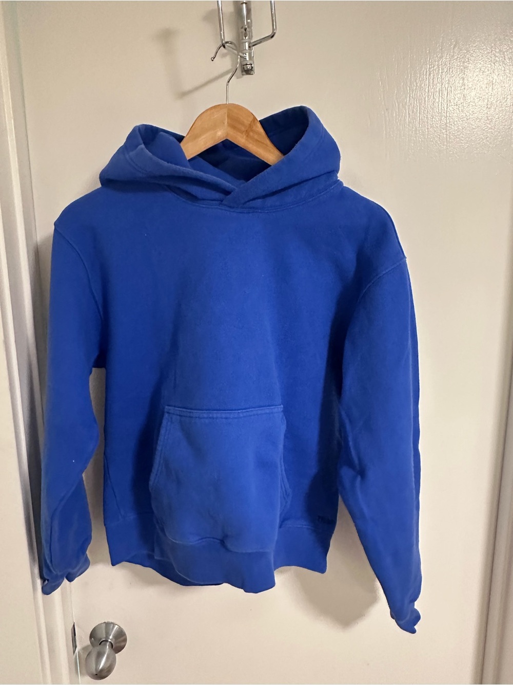 Aritzia Royal Blue Perfect Sweatshirt